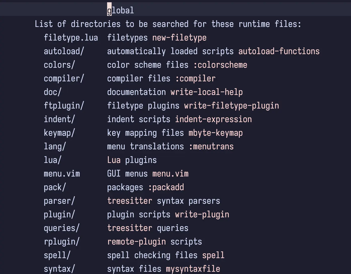 A screenshot of what running :h runtimepath in Neovim opens. Includes a list of the directories which are searched for runtime files.